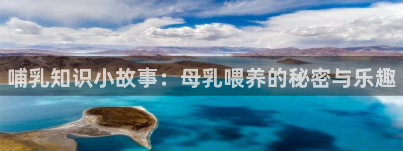 午夜小说大全免费