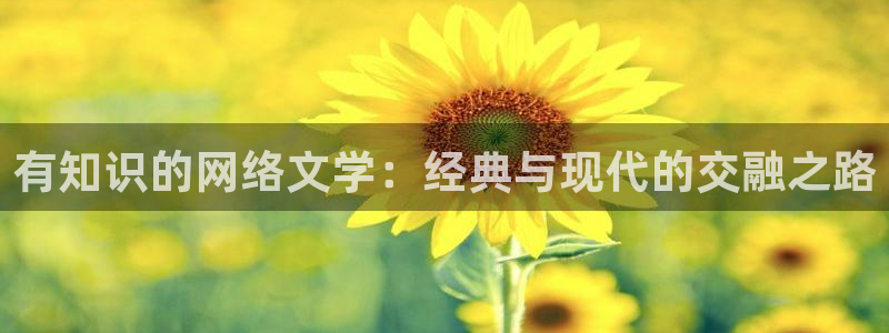 午夜小说免费