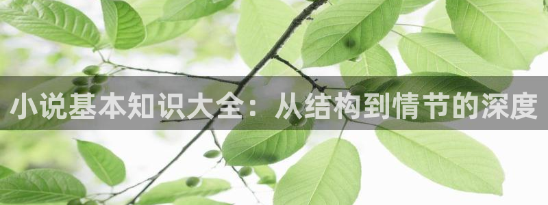 午夜小说福利